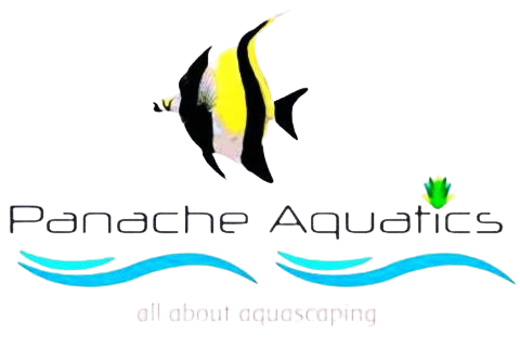 New_Project-removebg-preview